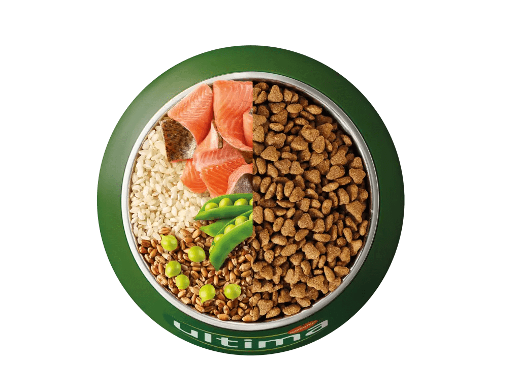 Trota, riso, cereali integrali e piselli