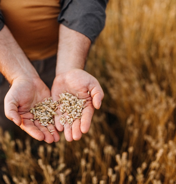 Con cereali integrali, ortaggi e frutta selezionati