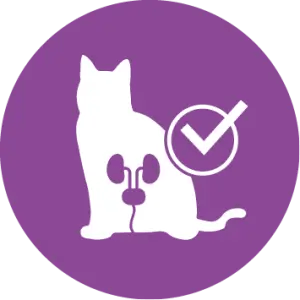 Ajuda a manter um trato urin&aacute;rio saud&aacute;vel (com o controlo do pH urin&aacute;rio)