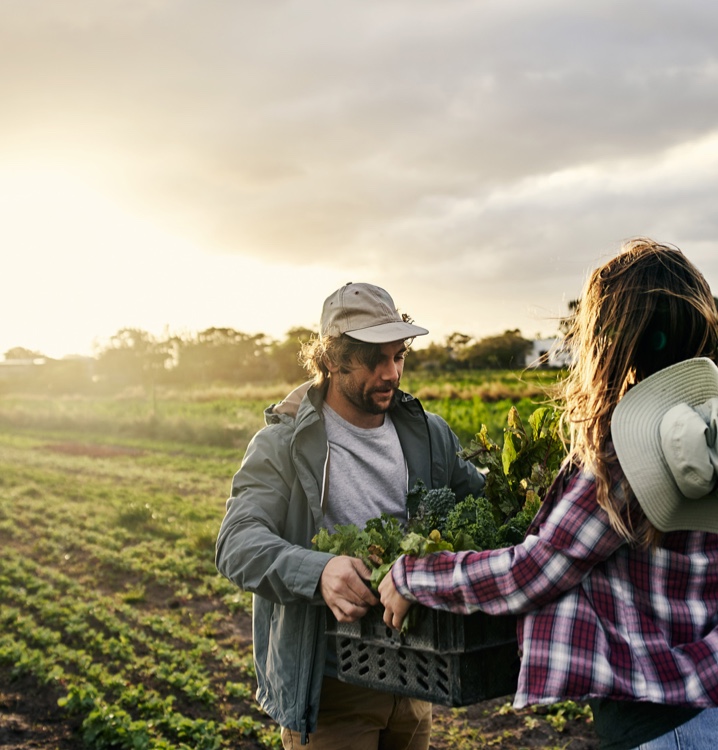 Com cereais integrais, legumes e frutas selecionadas