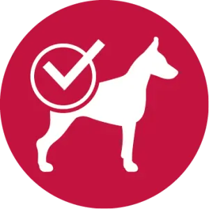 Ideal body condition