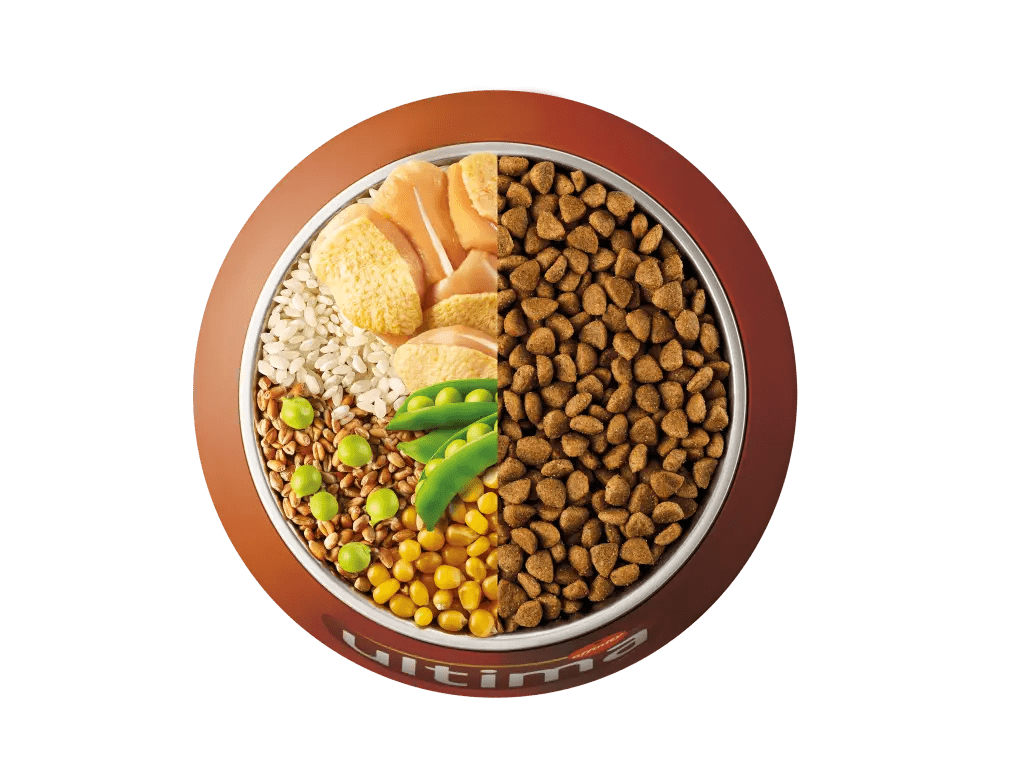 Chicken, rice, wholegrain cereals and peas