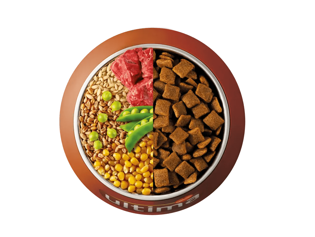 Beef, barley, whole wheat and peas