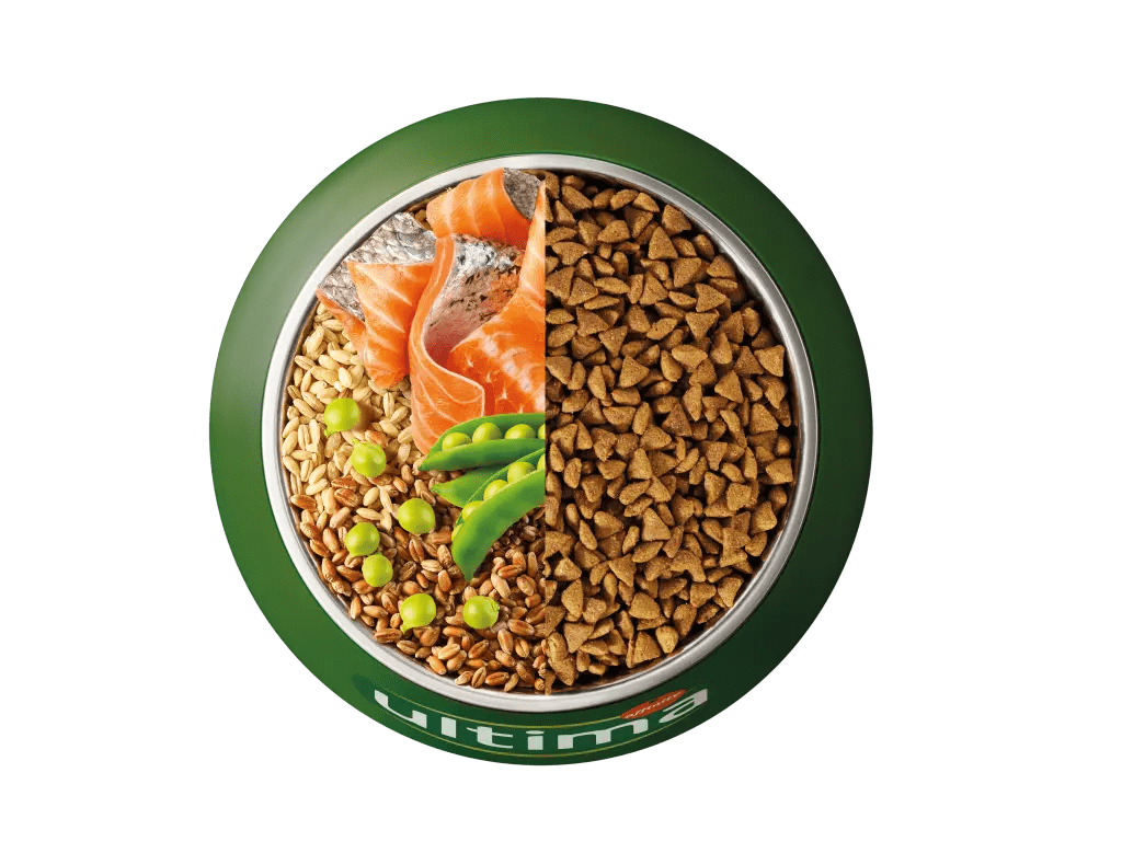 Salmon, barley, whole wheat and peas