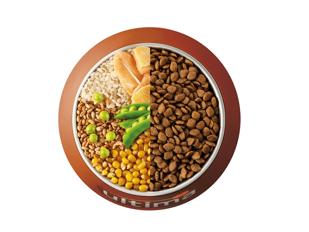 Chicken, rice, wholegrain cereals and peas