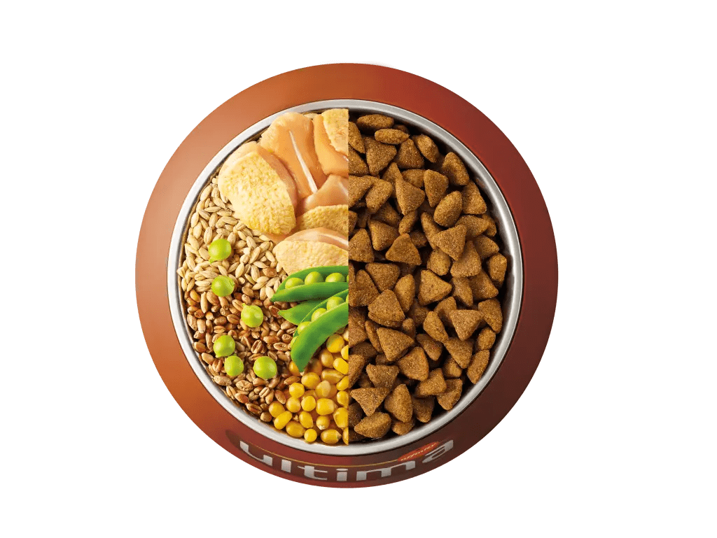 Chicken, barley, whole wheat and peas