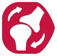 Support bones and joints