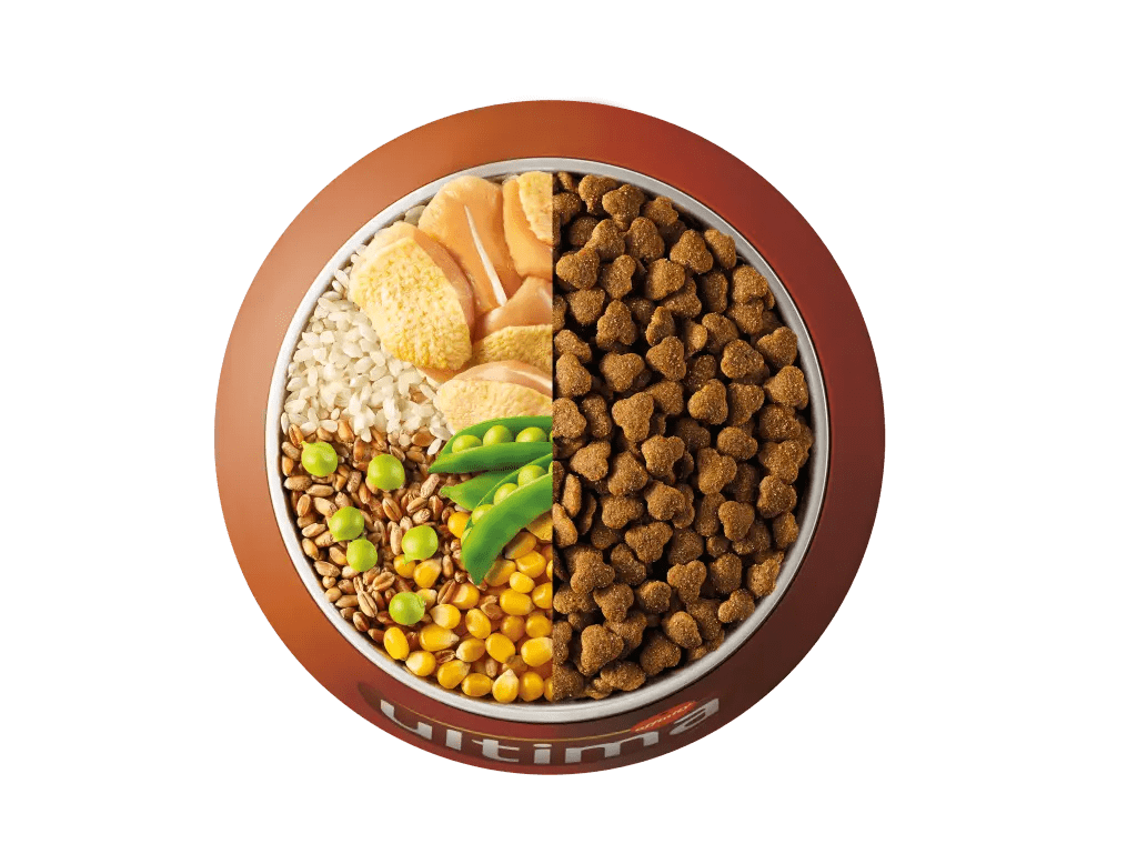 Chicken, rice, wholegrain cereals and peas