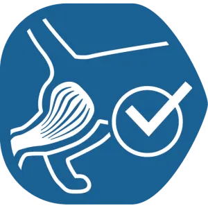 Helps to maintain muscle mass