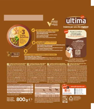 Petit Adult amb Pollastre