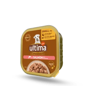 Fit & Delicious Pat&eacute; Petit Adult amb Salm&oacute;