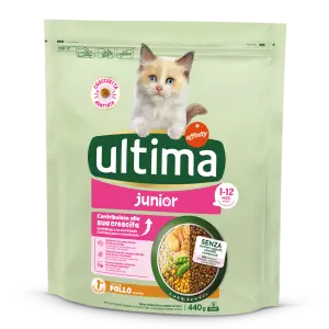 J&uacute;nior amb Pollastre