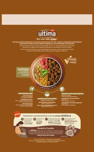 Medium-Maxi Adult amb Bou