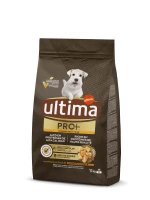 PRO+ Peque&ntilde;o con Pollo