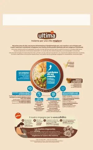 Medium-Maxi Junior with Chicken