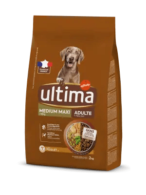 Medium-Maxi Adult with Chicken