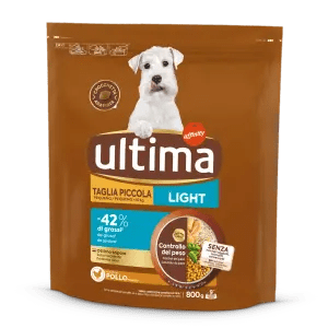 Small Light with Chicken