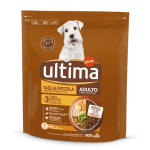 Peque&ntilde;o Adulto con Pollo