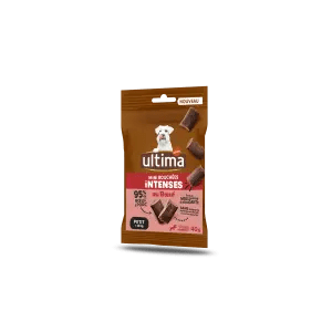 Small Adult Intense Bites Beef