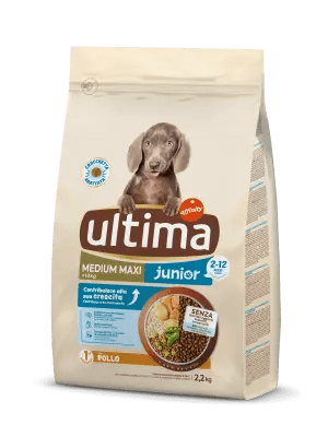 Medium-Maxi Junior with Chicken