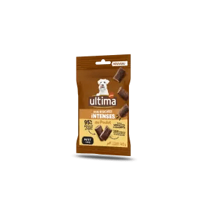 Small Adult Intense Bites Chicken