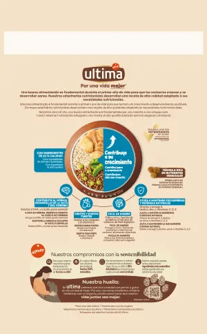 Medium-Maxi J&uacute;nior amb Pollastre