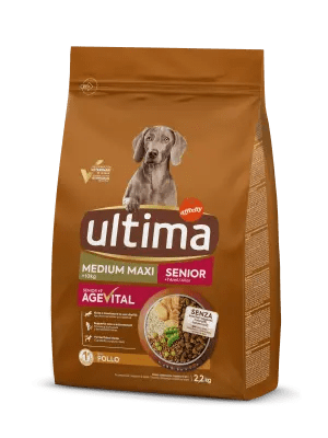 Medium-Maxi Senior with Chicken