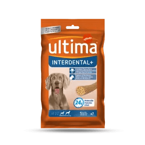 Interdental+ Medium-Maxi