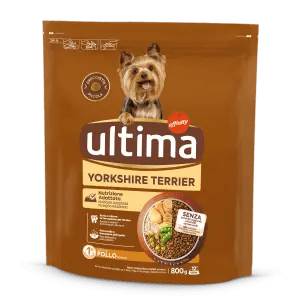 Petit Yorkshire Terrier amb Pollastre