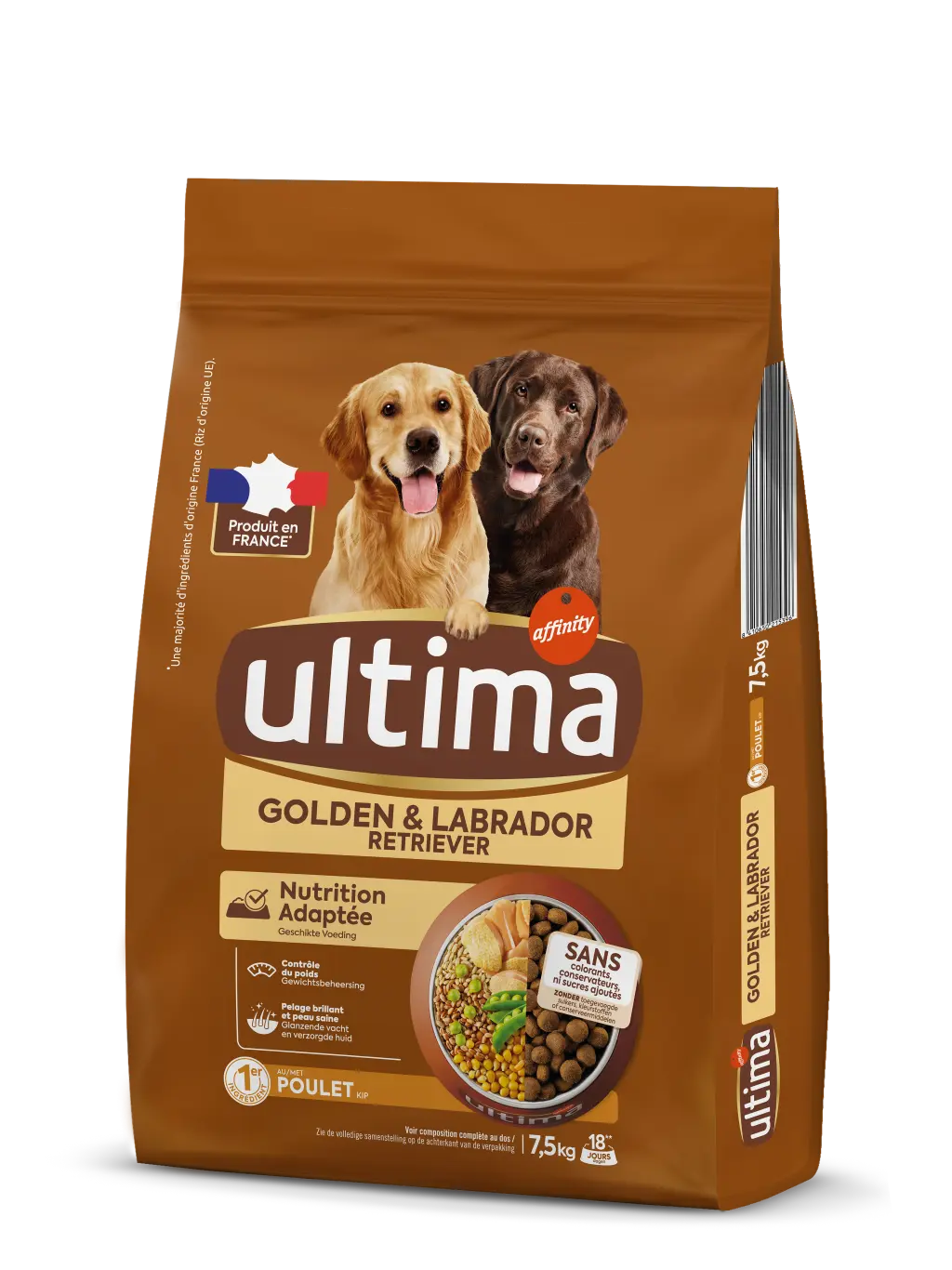 Medium-Maxi Golden & Labrador with Chicken