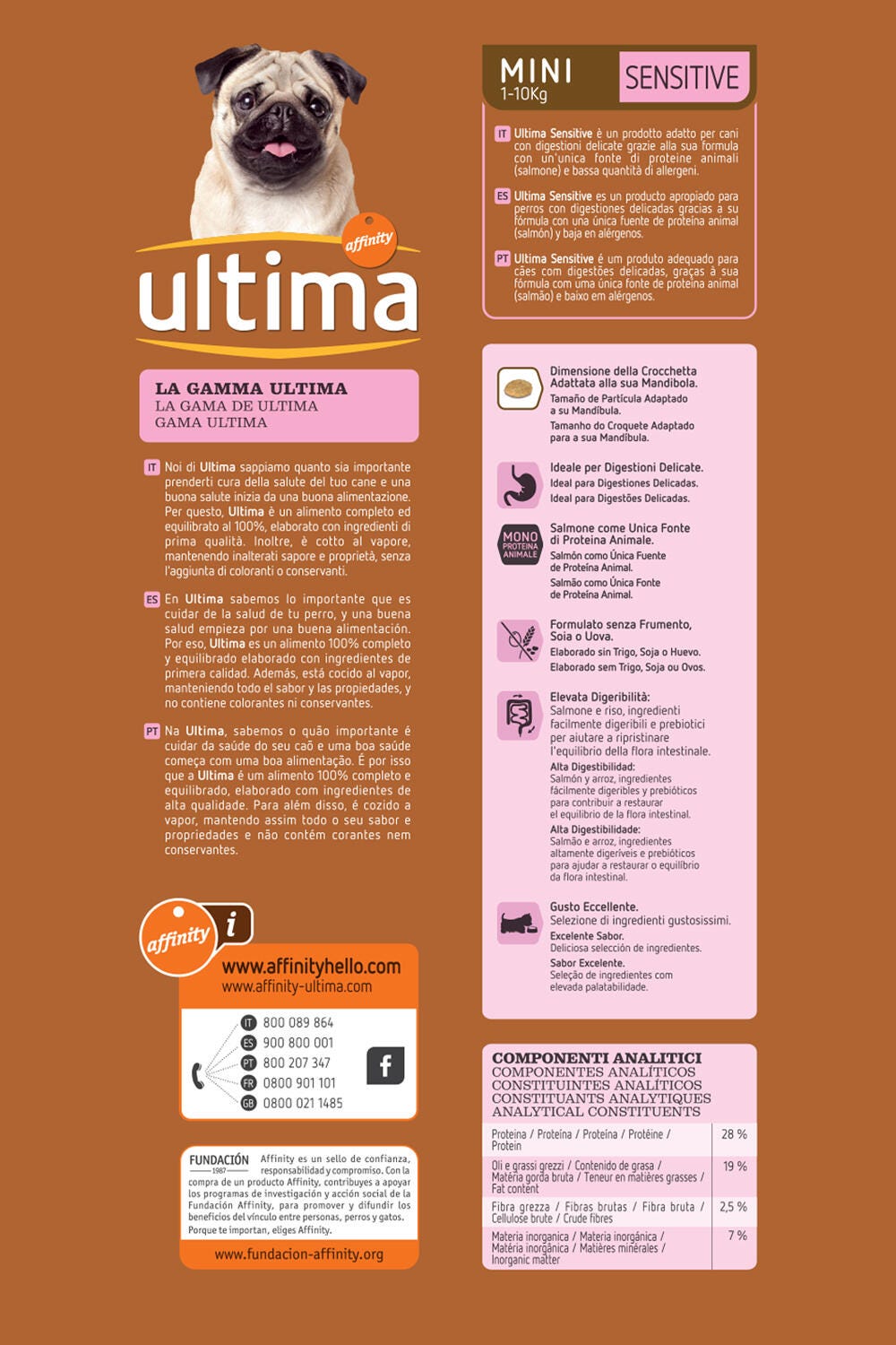 Small Digestive Wellbeing with Salmon