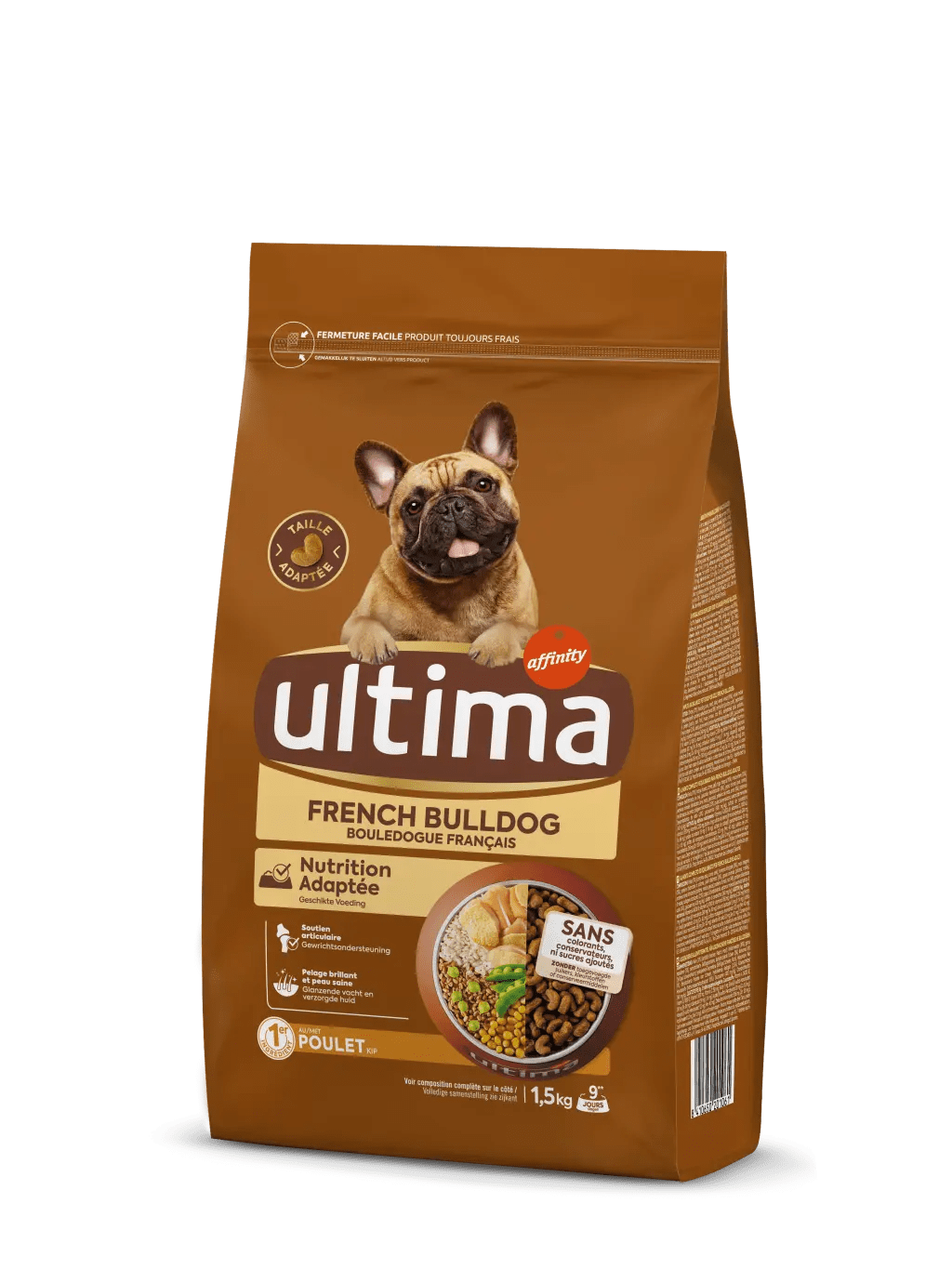 Small French Bulldog with Chicken