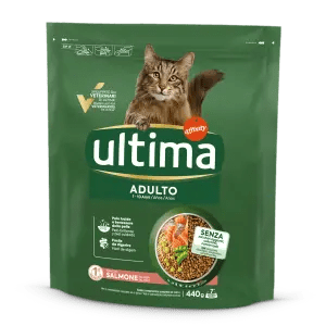 Adulto con Salm&oacute;n