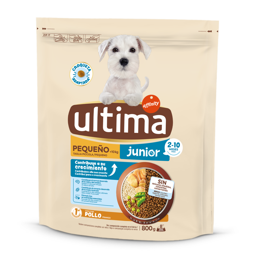 Pequeno Junior com Frango