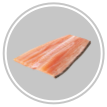 Trout