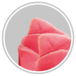 Tuna