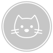 Gatto