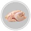 Frango