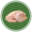 Frango