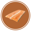 Salmão