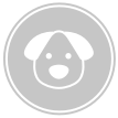 Cão