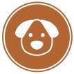 Cão