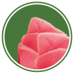 Atum