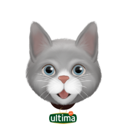 TENGO UN GATO