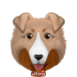 J'AI UN CHIEN