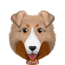 J'AI UN CHIEN