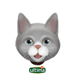 J'AI UN CHAT