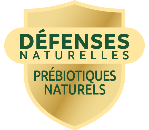 Prebiotics