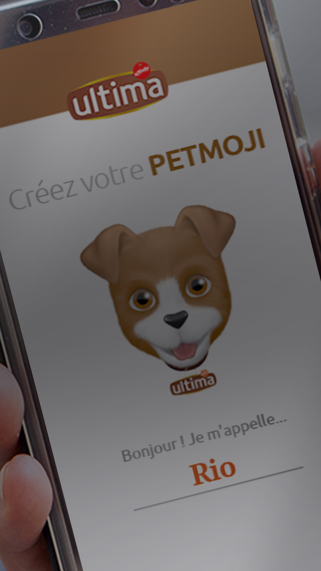 Bienvenue sur l'application <span>PETmoji</span> Téléchargez votre pack de stickers et partagez-le avec vos amis sur whatsapp