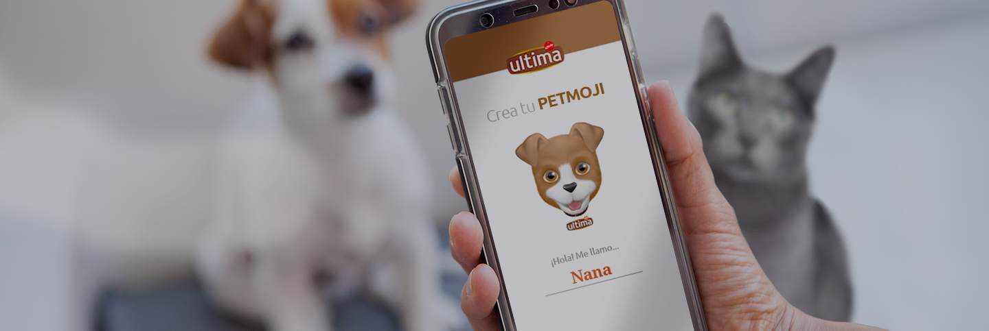 Welcome to your PETmoji Creator! Choose between dog or cat, personalise its details and share it on WhatsApp.
